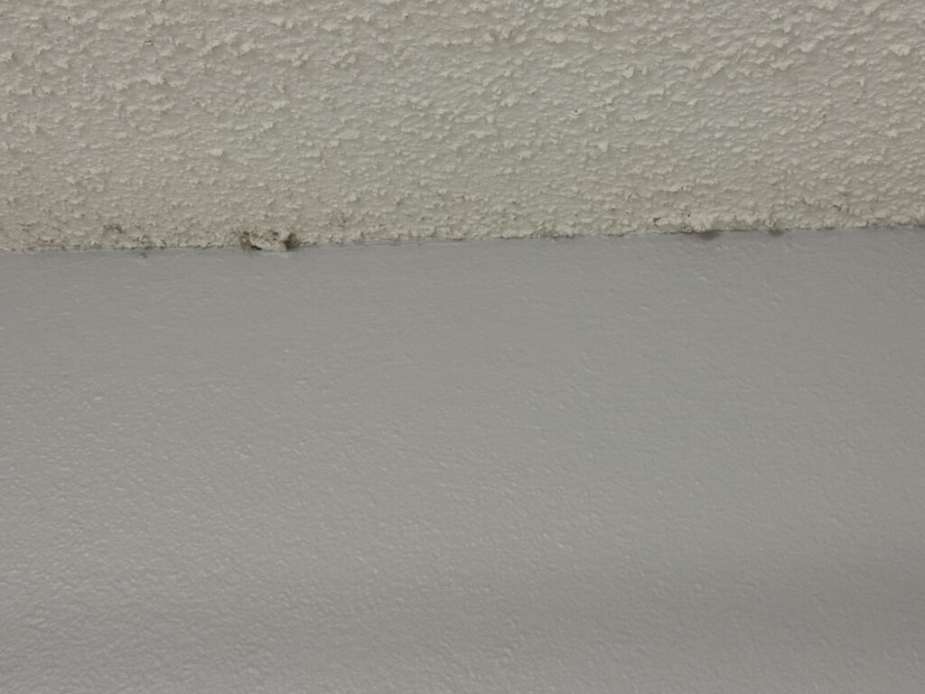 Here is a picture of the mold in the bathroom