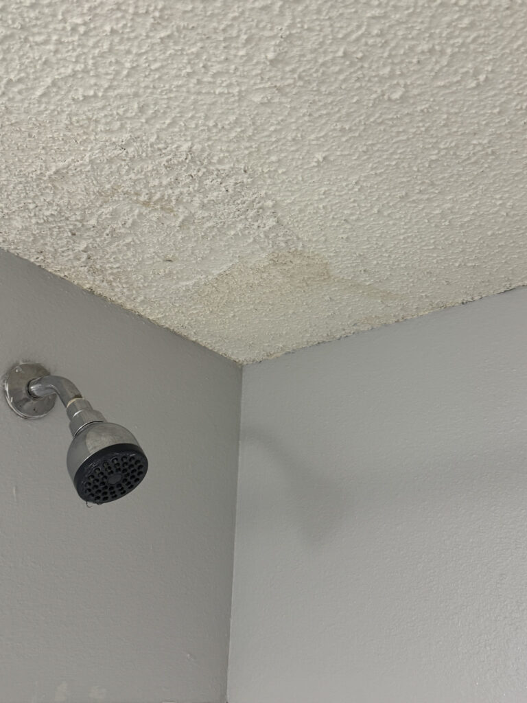 The ceiling, in the bathroom, had mold on it.